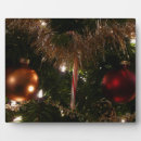 Recherche de sucre de canne plaques Festif