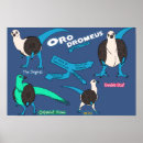 Zoek naar evolutie posters Dinosaurus