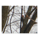 Recherche de empreinte arbre posters Nature