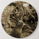 Zoek naar witte staart buttons Wild