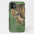 Zoek naar fauna iphone hoesjes Leeuw