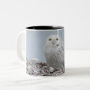 Recherche de hibou neigeux tasses Oiseaux