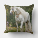 Recherche de crinière coussins Cheval