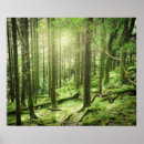 Recherche de paysages ruraux posters Nature