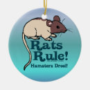 Recherche de règle de rats Souris