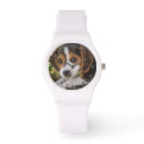 Recherche de beagle montres Chien