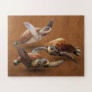 Zoek naar schildpadden puzzels Zeeschildpad