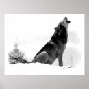 Recherche de loup de bois de construction Loups gris