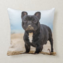 Zoek naar franse buldog kussens Canine