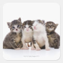 Recherche de chat japonais autocollants Amoureux de les chats