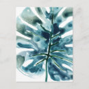 Recherche de jungle cartes postales Palmiers