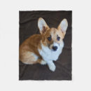 Zoek naar pembroke corgi dekens Koningin