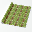 Recherche de fruits tropicaux papier cadeau Vert