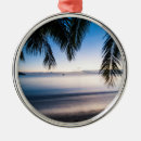 Recherche de paysage tropical ornements Île