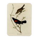 Recherche de à ailes magnets Illustration