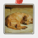 Zoek naar engelse cocker spaniel ornamenten Hond