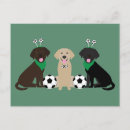 Recherche de labrador retriever noir cartes postales Animal