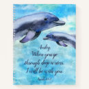 Recherche de dauphins Océan