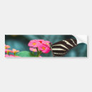 Zoek naar vlinders bumperstickers Tuin