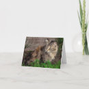 Recherche de chat sauvage vœux cartes Animal