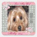 Recherche de pois gris autocollants Animal