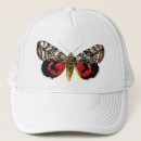 Recherche de libellules casquettes Papillons
