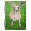 Recherche de kangourou carnets Joey