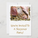 Recherche de pig invitations Animaux de ferme