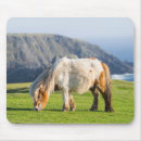 Recherche de poney shetland tapis souris Cheval