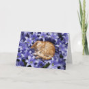 Recherche de bouquet et un chat vœux cartes Bouquet de fleurs