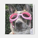 Zoek naar dee Cool