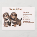 Recherche de yorkshire invitations Yorkie