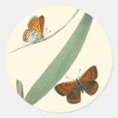 Recherche de fleurs colorées autocollants Papillon