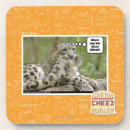 Zoek naar waarom onderzetters Ik kan cheezburger hebben