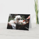 Recherche de aigles vœux cartes Montagne