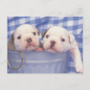 Recherche de seau cartes postales Image couleur