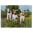 Recherche de chèvre planches à découper Animaux