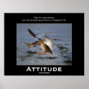 Recherche de canard drôle posters Faune