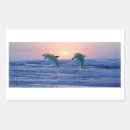 Recherche de dauphin autocollants Nature