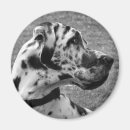 Zoek naar zwart witte honden magneten Zwart en wit