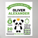 Zoek naar panda kinderkamer posters Geboortestatistieken