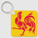 Recherche de régions porteclés Drapeau