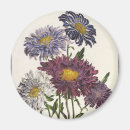 Recherche de illustration antique magnets Rétro