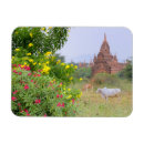 Recherche de la birmanie magnets Myanmar