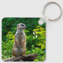 Zoek naar meerkat sleutelhangers Natuur