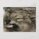Zoek naar grijze wolf briefkaarten Dieren