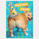 Zoek naar grappige honden magneten Puppy