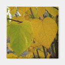 Recherche de romance magnets Vert