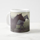 Recherche de chevaux arabes tasses Baie