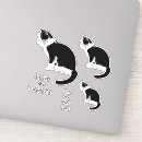 Recherche de chat noir et blanc autocollants Félin